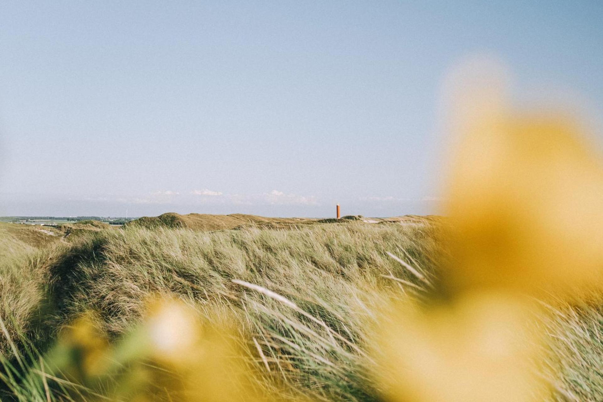 Vakantiehuis Beau - Julianadorp Aan Zee エクステリア 写真