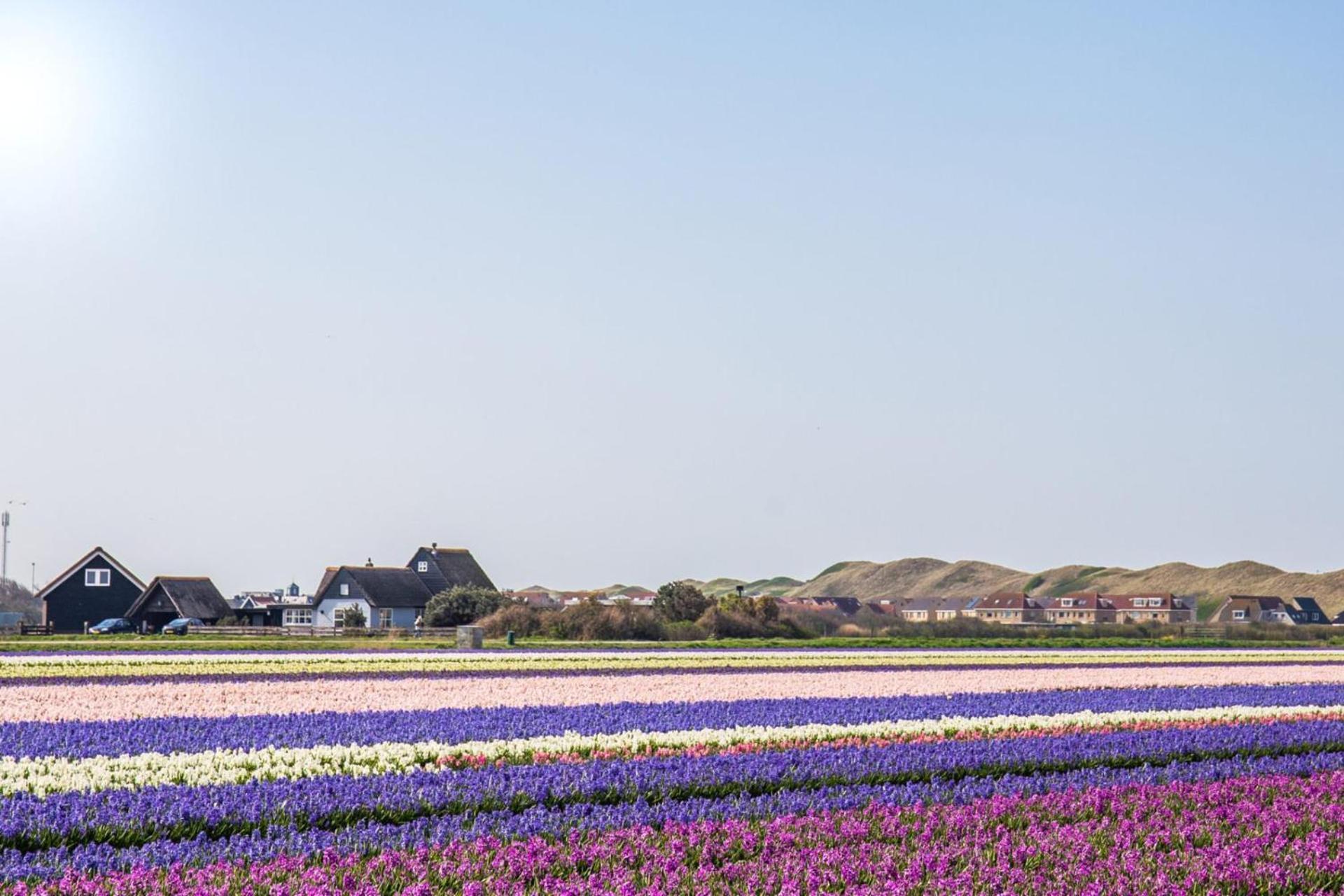 Vakantiehuis Beau - Julianadorp Aan Zee エクステリア 写真